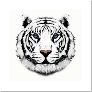 Kids White Tiger Head Big Cat Face For Kids Boys & Girls Posters and Art